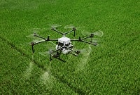 Drone Pertanian